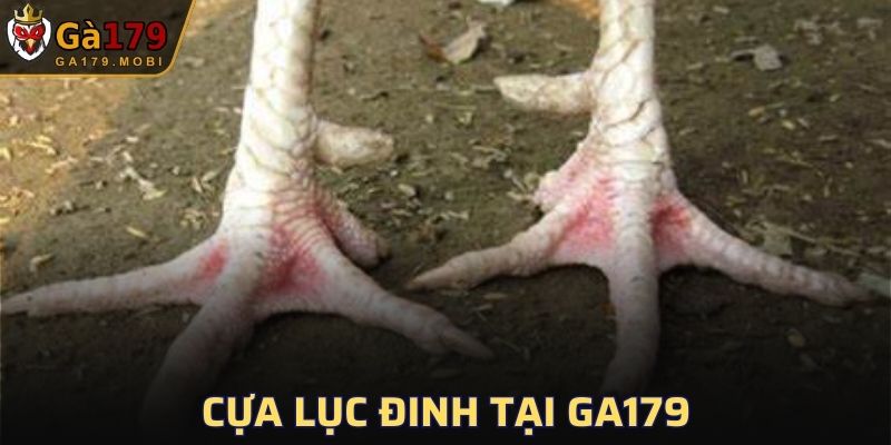 Cựa Lục Đinh