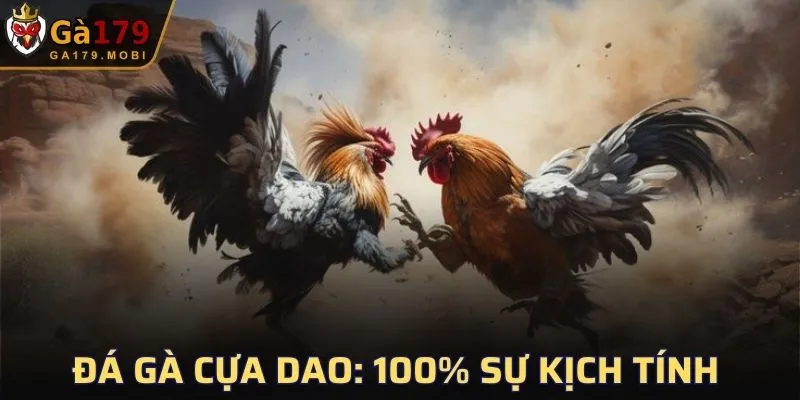 Đá Gà Cựa Dao