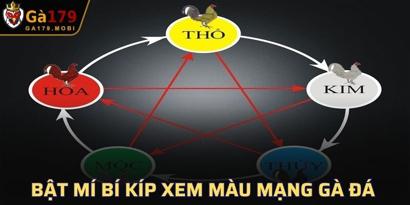 Màu Mạng Gà Đá